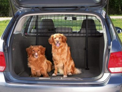 In vacanza con gli amici animali: come organizzarsi al meglio