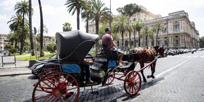 Vietate le botticelle con i cavalli: stop nelle...