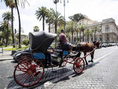 Vietate le botticelle con i cavalli: stop nelle piazze, sì nei parchi