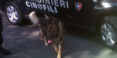 Banda di ragazzini spaccia a scuola