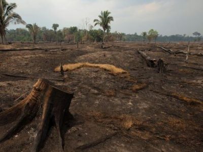 Lotta agli incendi, il Brasile rifiuta i 20 milioni del G7