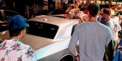 Cane cade dal sesto piano e si salva grazie al ...