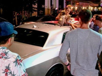 Cane cade dal sesto piano e si salva grazie al tettuccio apribile di un’auto