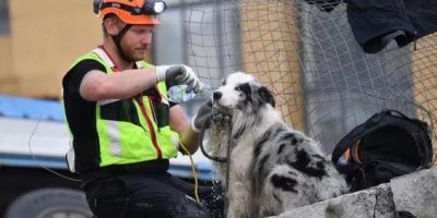 Ponte Morandi, un premio ai soccorritori a quat...
