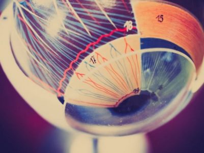 Creato un occhio artificiale in 3D fatto di cellule umane