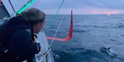 Greta, la “traversata verde” è term...