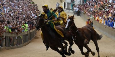 Il cavallo “scosso” della Selva vin...