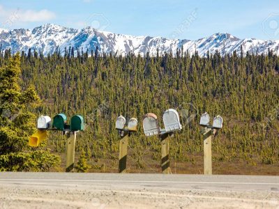 National Forest Alaska, Trump vuole il via libera al taglio degli alberi