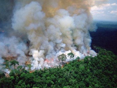 Amazzonia, battibecco fra Bolsonaro e il nuclearista Macron