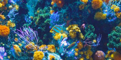 A Modena dal 3 al 6 settembre il congresso mond...