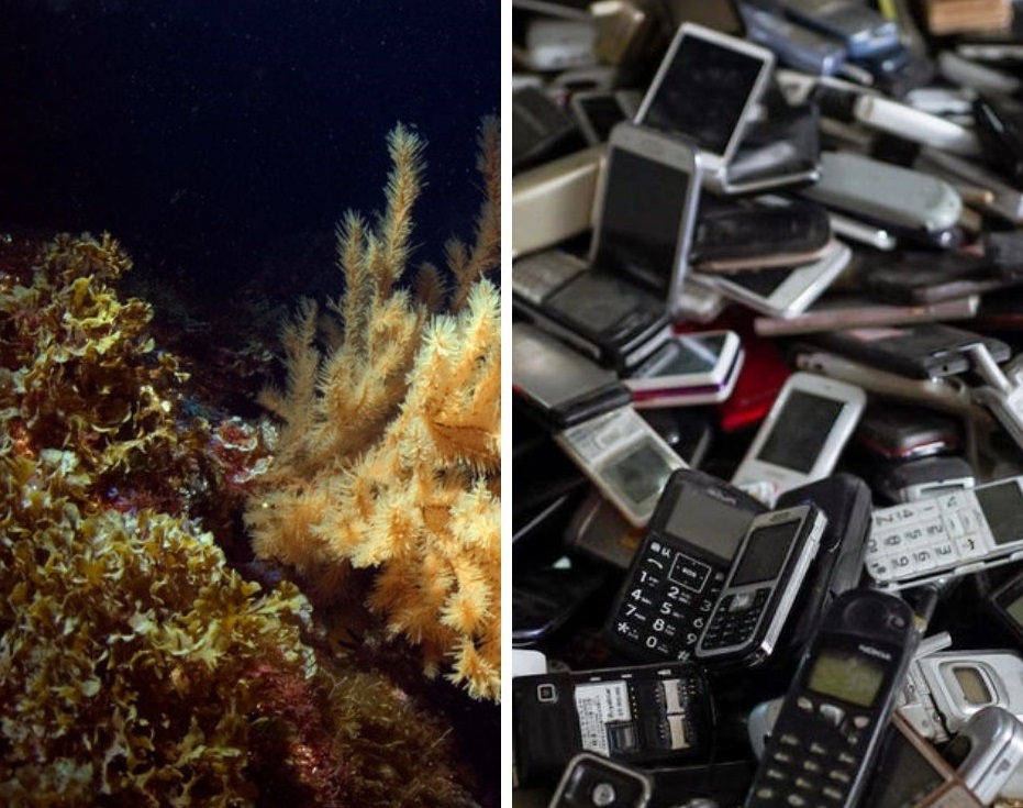 estrazioni, movimento protezione oceani greenpeace