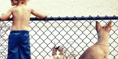 Si festeggia oggi la Giornata internazionale de...