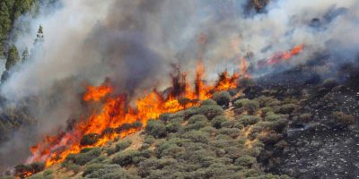 Incendio Gran Canaria, sono già oltre 8mila gli...