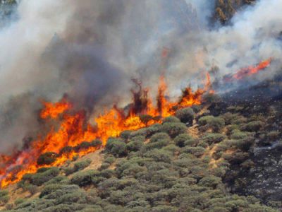 Incendio Gran Canaria, sono già oltre 8mila gli evacuati
