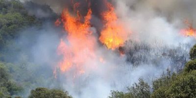 Nuorese e Gallura ancora nella morsa delle fiamme