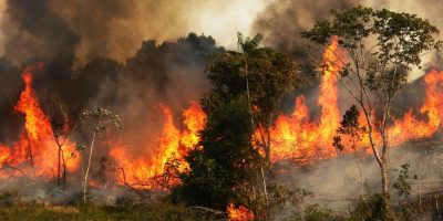 Europa for Amazzonia. Greta: “La nostra g...