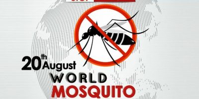 Oggi è il World Mosquito Day,   per sensibilizz...