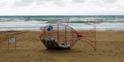 Sulle spiagge italiane arriva il pesce mangia-p...