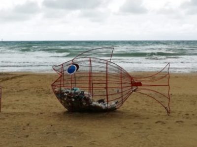 Sulle spiagge italiane arriva il pesce mangia-plastica