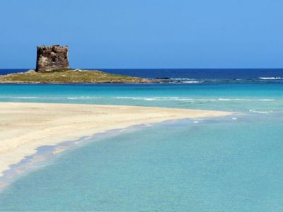 Continuano furti e predazioni dalla spiagge sarde