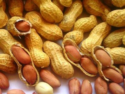 Allergia alle arachidi, arriva un vaccino sublinguale