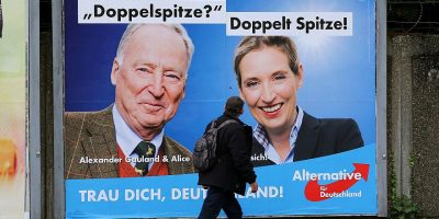 Afd vola anche se non sfonda in Brandeburgo dov...