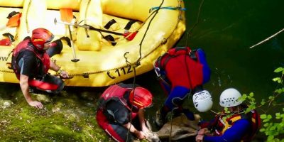 Piccolo capriolo salvato dalle acque della casc...