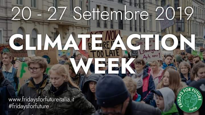manifestazioni fridays for future