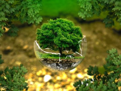 Tutela dell’ambiente e del clima importante per il 94% dei cittadini europei