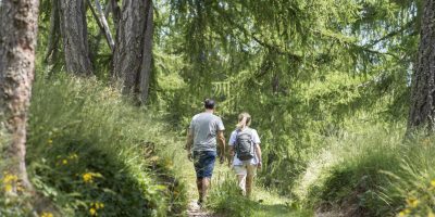 Un neonato è stato trovato morto in una scarpat...