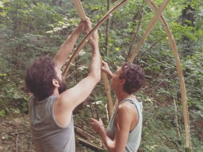 Libera Università del Bosco: alla scoperta della natura in Brianza