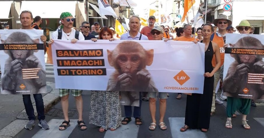 protesta macachi lav