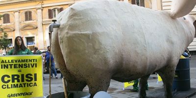 Un maiale gigantesco davanti al ministero delle...