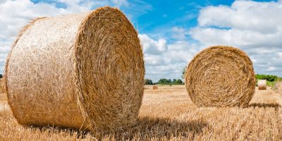 “Racket della paglia”due arresti pe...