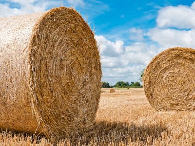“Racket della paglia”due arresti per estorsione, lesioni e minacce