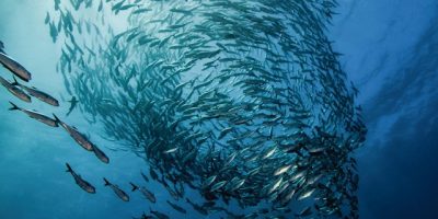 Il rapporto tra cambiamento climatico e risorse...