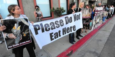 Foie gras, gli animalisti newyorkesi lottano pe...