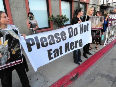 Foie gras, gli animalisti newyorkesi lottano per vietarlo