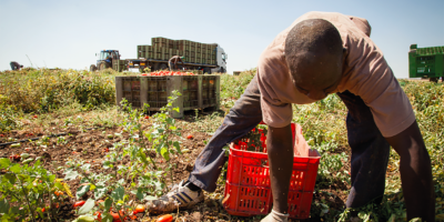 Sfruttato e ridotto in schiavitù, arrestato il ...
