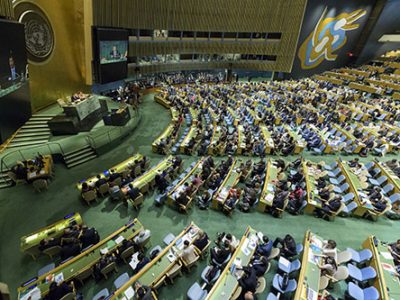 Il panda del Wwf parla all’Assemblea delle Nazioni Unite