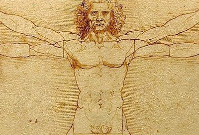 Da Venezia al Louvre l’Uomo Vitruviano di Leonardo