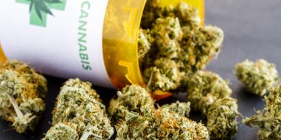 Sperimentazione della cannabis terapeutica in F...