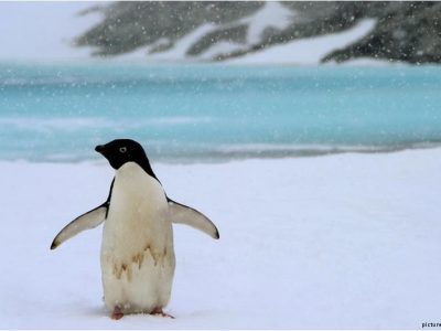 Antartide, distacco di un iceberg di 315 miliardi di tonnellate