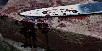 Operatore turistico reggiano assassinato a colt...