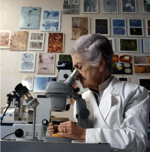 montalcini anselmi emancipazione femminile