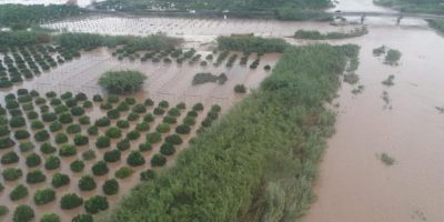 Il maltempo ha già provocato una vittima nel si...