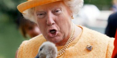 Trump difende la donna americana che investe un...