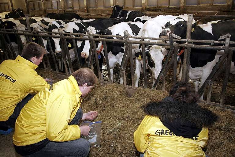 allevamenti intensivi greenpeace