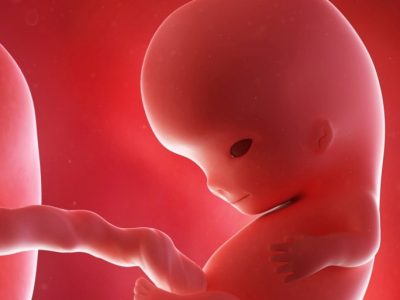 Indagini in corso a Torino sul feto ritrovato in un’aiuola