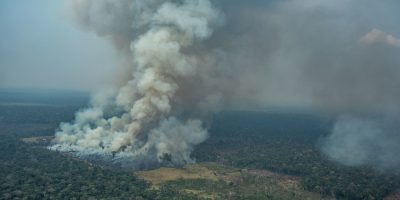 Foresta Amazzonica: persa un’area pari a ...